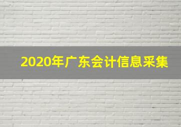 2020年广东会计信息采集