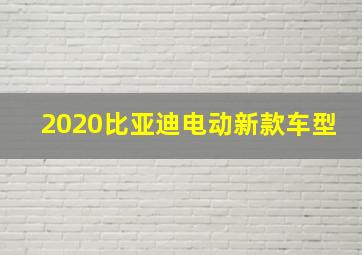 2020比亚迪电动新款车型