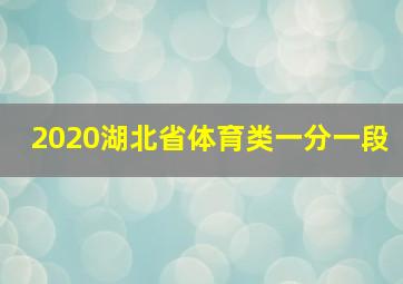 2020湖北省体育类一分一段