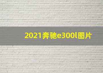 2021奔驰e300l图片