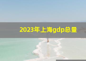 2023年上海gdp总量