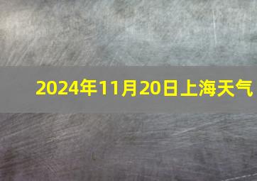 2024年11月20日上海天气