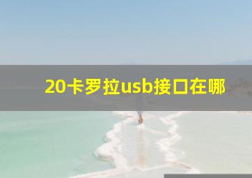 20卡罗拉usb接口在哪