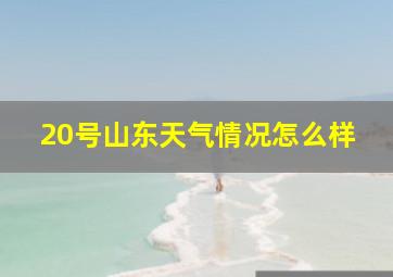 20号山东天气情况怎么样