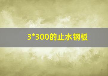 3*300的止水钢板