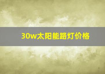 30w太阳能路灯价格