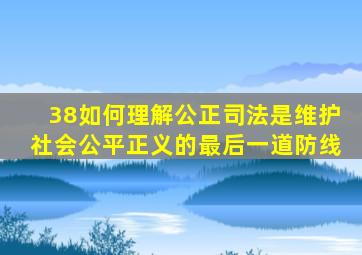 38如何理解公正司法是维护社会公平正义的最后一道防线