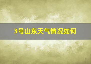 3号山东天气情况如何