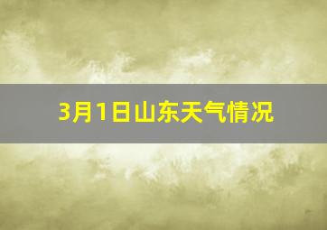 3月1日山东天气情况