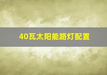 40瓦太阳能路灯配置