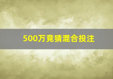 500万竞猜混合投注