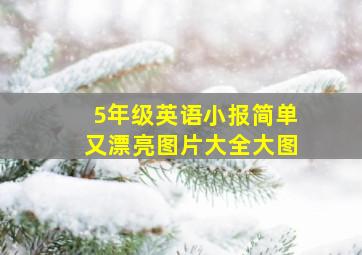 5年级英语小报简单又漂亮图片大全大图