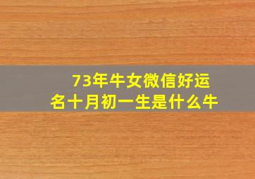 73年牛女微信好运名十月初一生是什么牛