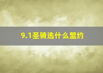 9.1圣骑选什么盟约