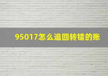 95017怎么追回转错的账