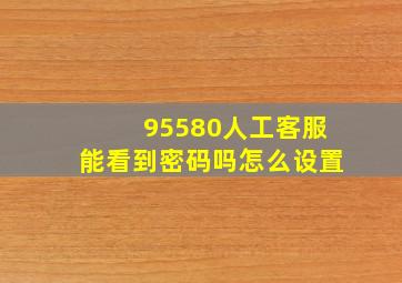 95580人工客服能看到密码吗怎么设置