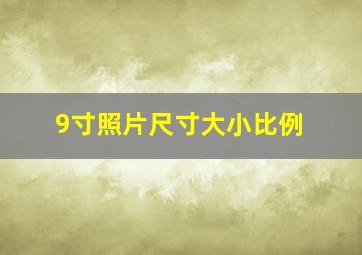 9寸照片尺寸大小比例