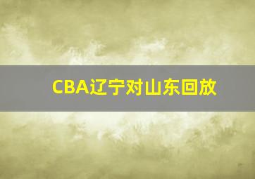 CBA辽宁对山东回放