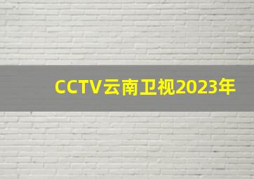 CCTV云南卫视2023年