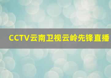 CCTV云南卫视云岭先锋直播