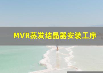 MVR蒸发结晶器安装工序