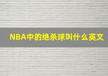 NBA中的绝杀球叫什么英文