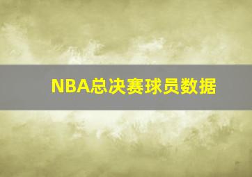 NBA总决赛球员数据