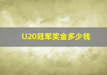 U20冠军奖金多少钱