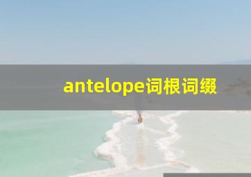 antelope词根词缀