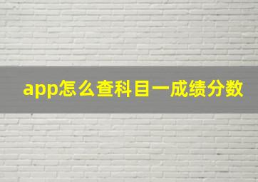 app怎么查科目一成绩分数