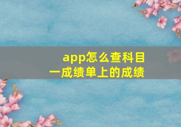 app怎么查科目一成绩单上的成绩