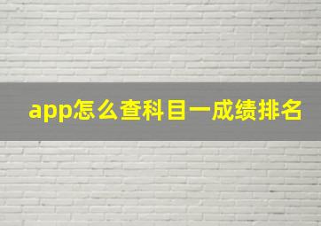 app怎么查科目一成绩排名