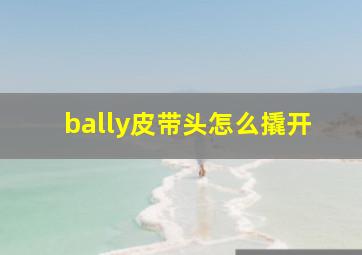 bally皮带头怎么撬开