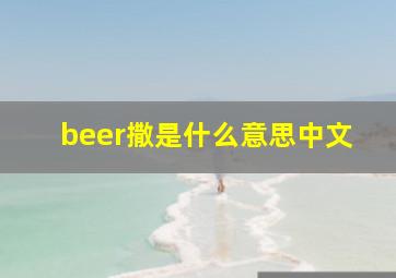 beer撒是什么意思中文