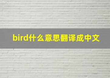 bird什么意思翻译成中文