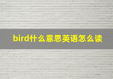 bird什么意思英语怎么读