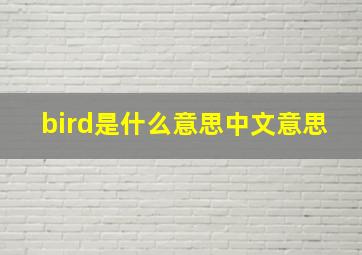 bird是什么意思中文意思