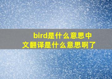 bird是什么意思中文翻译是什么意思啊了