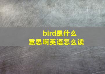 bird是什么意思啊英语怎么读