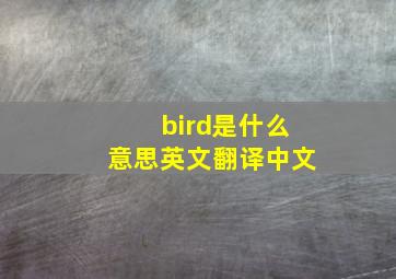 bird是什么意思英文翻译中文