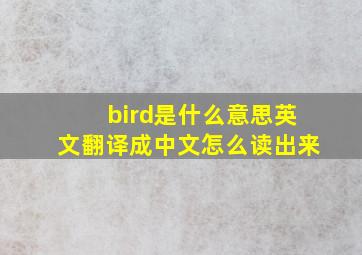 bird是什么意思英文翻译成中文怎么读出来