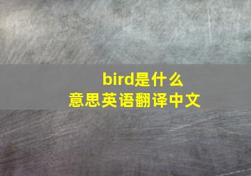 bird是什么意思英语翻译中文