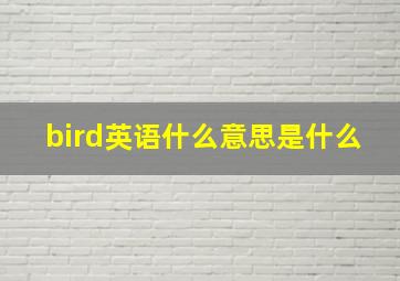 bird英语什么意思是什么