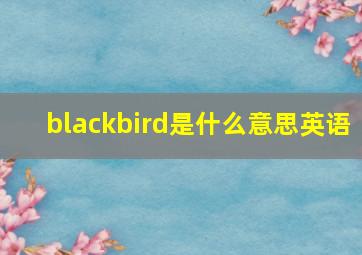 blackbird是什么意思英语