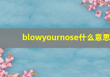 blowyournose什么意思