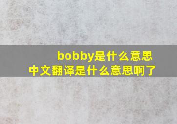 bobby是什么意思中文翻译是什么意思啊了