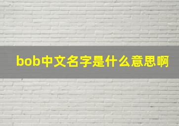 bob中文名字是什么意思啊