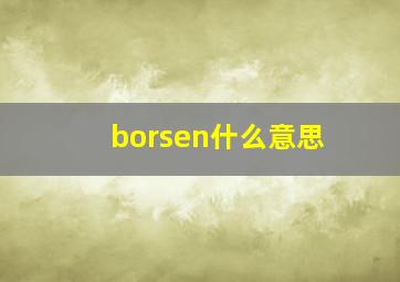 borsen什么意思