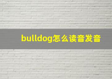 bulldog怎么读音发音