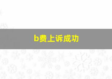 b费上诉成功